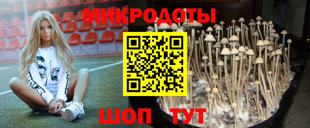 Обнинск  Псилоцибиновые грибы Magic Shrooms  Вход с VPN 