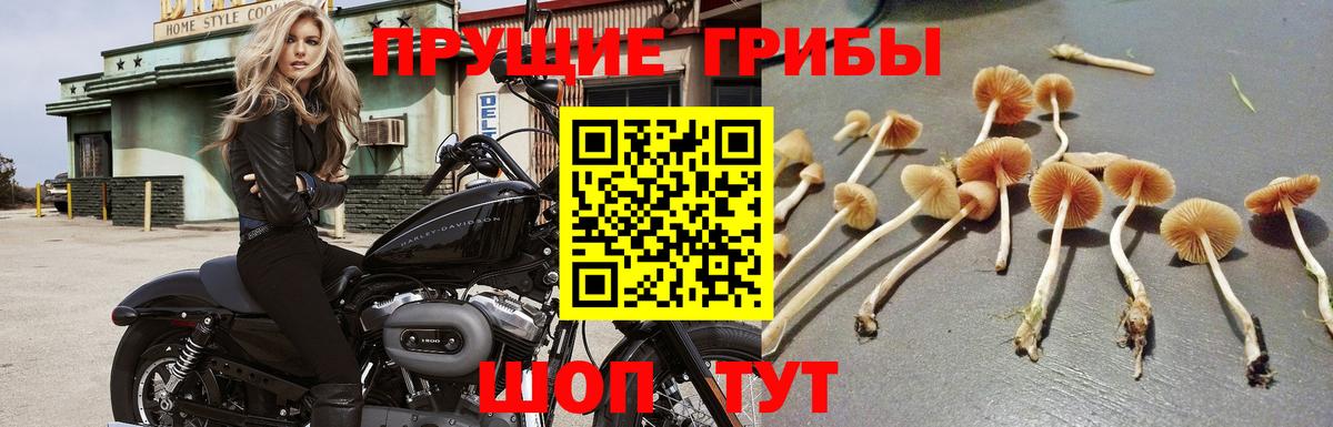Галлюциногенные грибы Magic Shrooms Обнинск