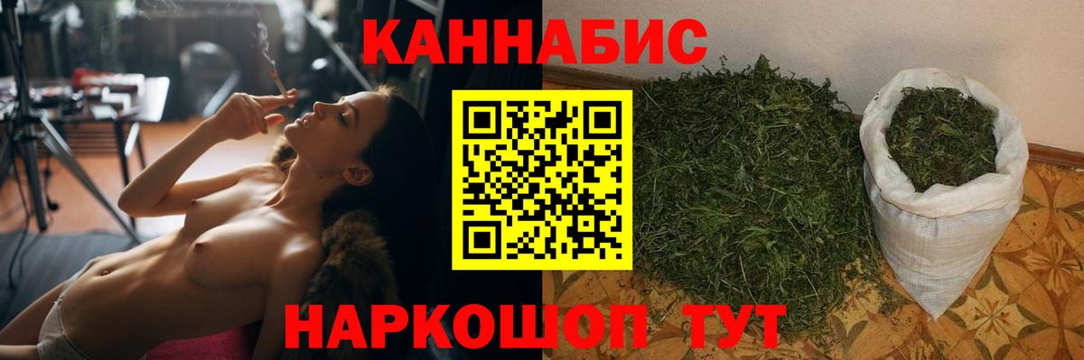 Бошки Шишки план Обнинск